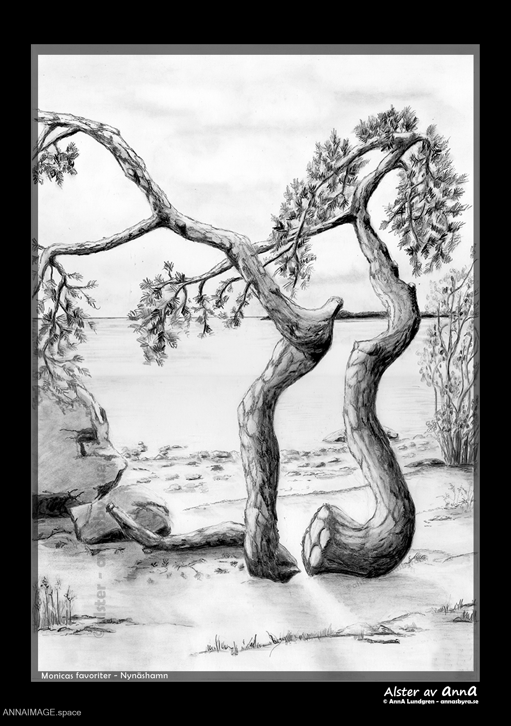 Alster av Anna Alster av Anna